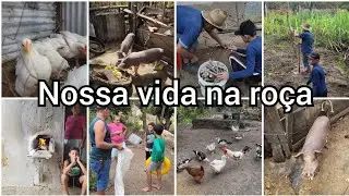 COMPRANDO UMA LEITOA| NA ROÇA COM OS VISINHOS (#vlog )plantamos aipim