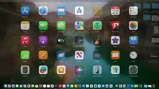 Web Application-Create PHP File and Run the first project