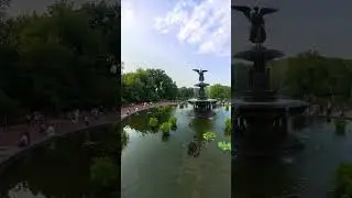 New York Central Park in all its glory! 🌳✨ Can you spot the man standing on his bike? 🚴‍♂️🔍