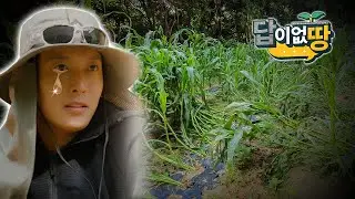 망했습니다 (EP.15 답이없땅)