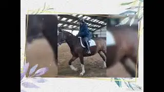 wedstrijd rijden