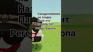 29 июля 2024 г.