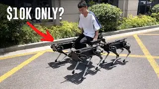 $10K Unitree A1 Is Better Than Boston Dynamics Spot Robot?