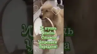 Светлана Левашова - ЗЕМЛЯ