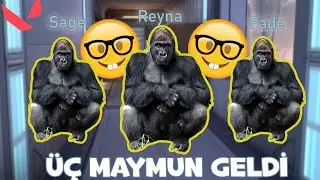 JETT KİTLEDİM DİYE AĞLAYAN ÜÇ MAYMUNA MVP ATTIM.