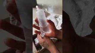 Shrimp Malayalam #shrimp #shortvideo #shorts #guppyvalarthal