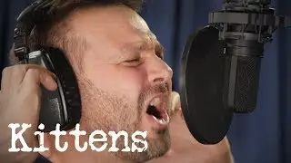 Spencer: "Kittens"