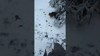 за сахаром