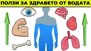 Защо да пием ВОДА е толкова ВАЖНО!?