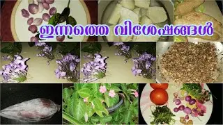 my homily activities |easy breakfast and lunch