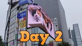 Day 2 at Japan - Hotel Mystays , Asakusa Kannon Temple , Shinjuku & Kasugai View Hotel