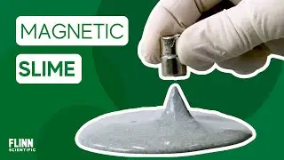 Magnetic Slime | FlinnScientific