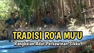 Tradisi Adat Ro'a Mu'u di Kabupaten Sikka