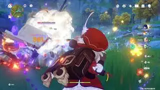 Genshin Impact Raiden Test Skill Cooldown