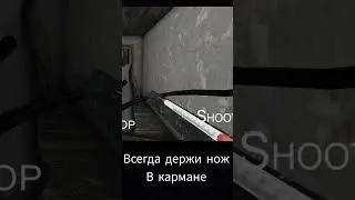 правило леса