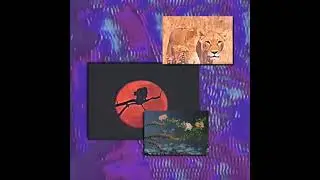 Ahero - Ultima Flux (2019)