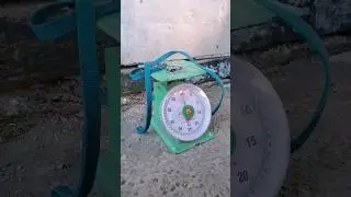 не все собаки любят таблетки #perrodog #собаки