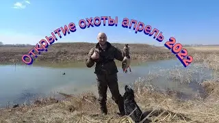 Открытие весенней охоты 2022/охота с подсадной