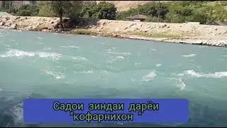 Садои зиндаи дарёи 
