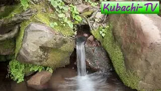 Шамиль Абакаров  