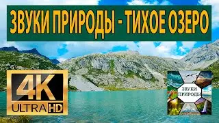 Звуки природы   Тихое озеро, Пение Птиц