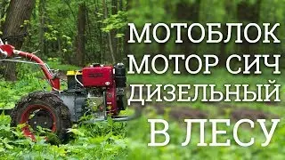 Мотоблок Мотор Сич дизельный 10 л.с. с прицепом в лесу