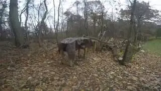 POV Of The 3rd Backyard Roller Coaster