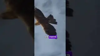 Никогда не обращайте внимание на это 