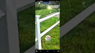 Shadow Snubbull AR Mode Catching