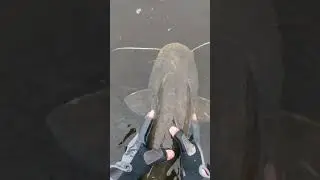 Как это вылечить?🙄😁😁