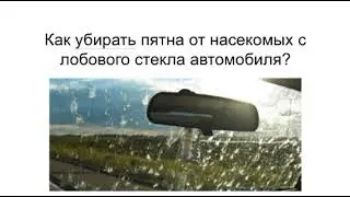Как удалить следы от насекомых с лобового стекла машины?