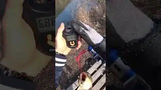 выслеживаю сазана с дрона 
