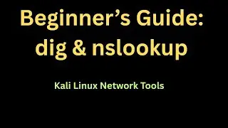 Kali Linux Beginner's Guide: How to Use dig & nslookup