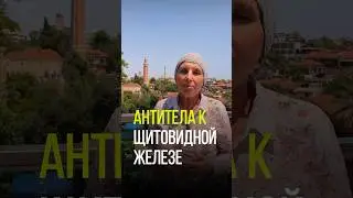 АНТИТЕЛА К ЩИТОВИДКЕ