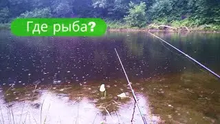 ✔Клёва🎣 нет🪝Рыбалка🐟 на лесном озере✔