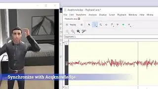 Meta Quest Pro Face Tracking Data with Worldviz SightLab for Vizard