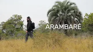 CAMINHANDO E FOTOGRAFANDO EM ARAMBARÉ/RS