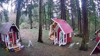 Troll Cam Live from Nordic Northwest