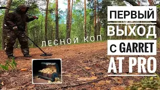 Новичок. Первый выход с AT PRO. Лесной коп.
