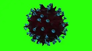 covid green screen, bacteria green screen, covid black screen, covid 19