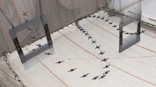 Multi-Fidelity Reinforcement Learning for Time-Optimal Quadrotor Re-planning