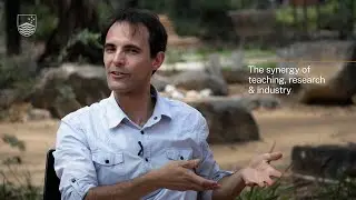 The synergy of research, industry, & teaching engineering