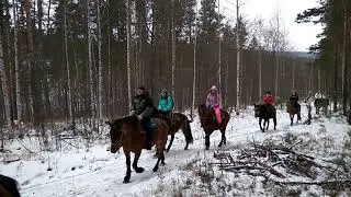 Прогулка конного тура с LiveYourLife