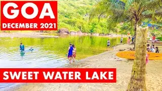 GOA | Arambol Sweet Water Lake - December 2021 | Goa Vlog | Goa Hidden Places | Arambol Beach |