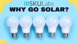 Solar Panels 101: How Solar Panels Can Power Your Warehouse & Save Money