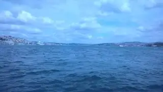 İstanbul'da boğazda martıları izlerken...