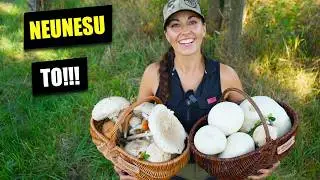 2 PLNÉ KOŠE HUB! Našla jsem Vatovce, bedly, křemenáče na Šumavě.