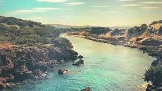 Cheb Sifou Chaoui - Rouhi Choufi Khlafi [2019]