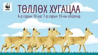 Цагаан зээр