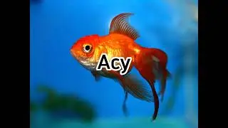 Асу фулл мем #Асу